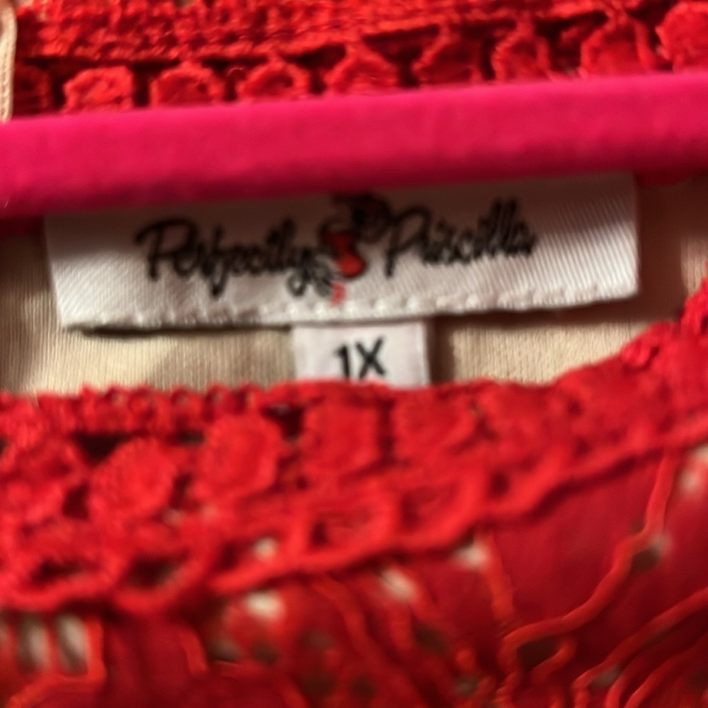 Perfectly Priscilla Lace Dress 1X - Picture 4 of 5